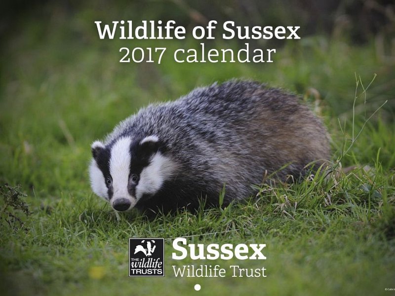 Stunning Wildlife Calendar